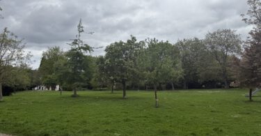 „Wie der Wind sich dreht – und was das mit unserer Südstadt zu tun hat“